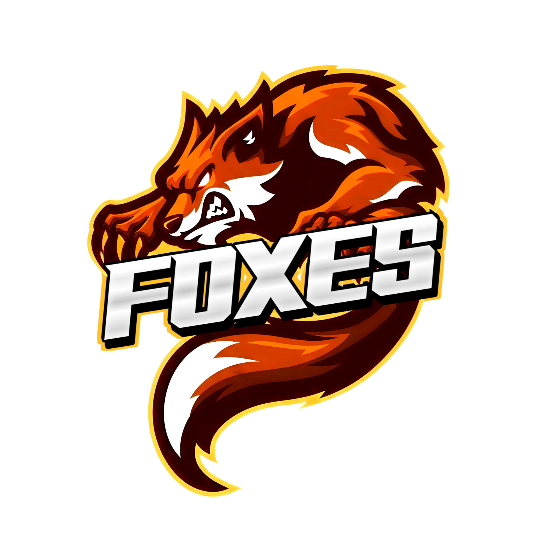 FOXES 2KB